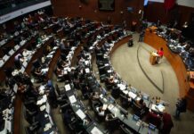 Senado mantiene recorte al INE