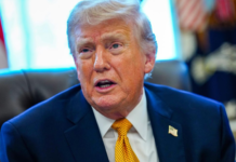 Trump llama “cobardes” a aliados de la OTAN