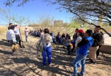 Ciudadanos se unen para reforestar el Parque Central; una apuesta por el pulmón de Juárez