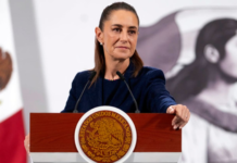 Sheinbaum confirma que amenazas frenan exportación de aguacate